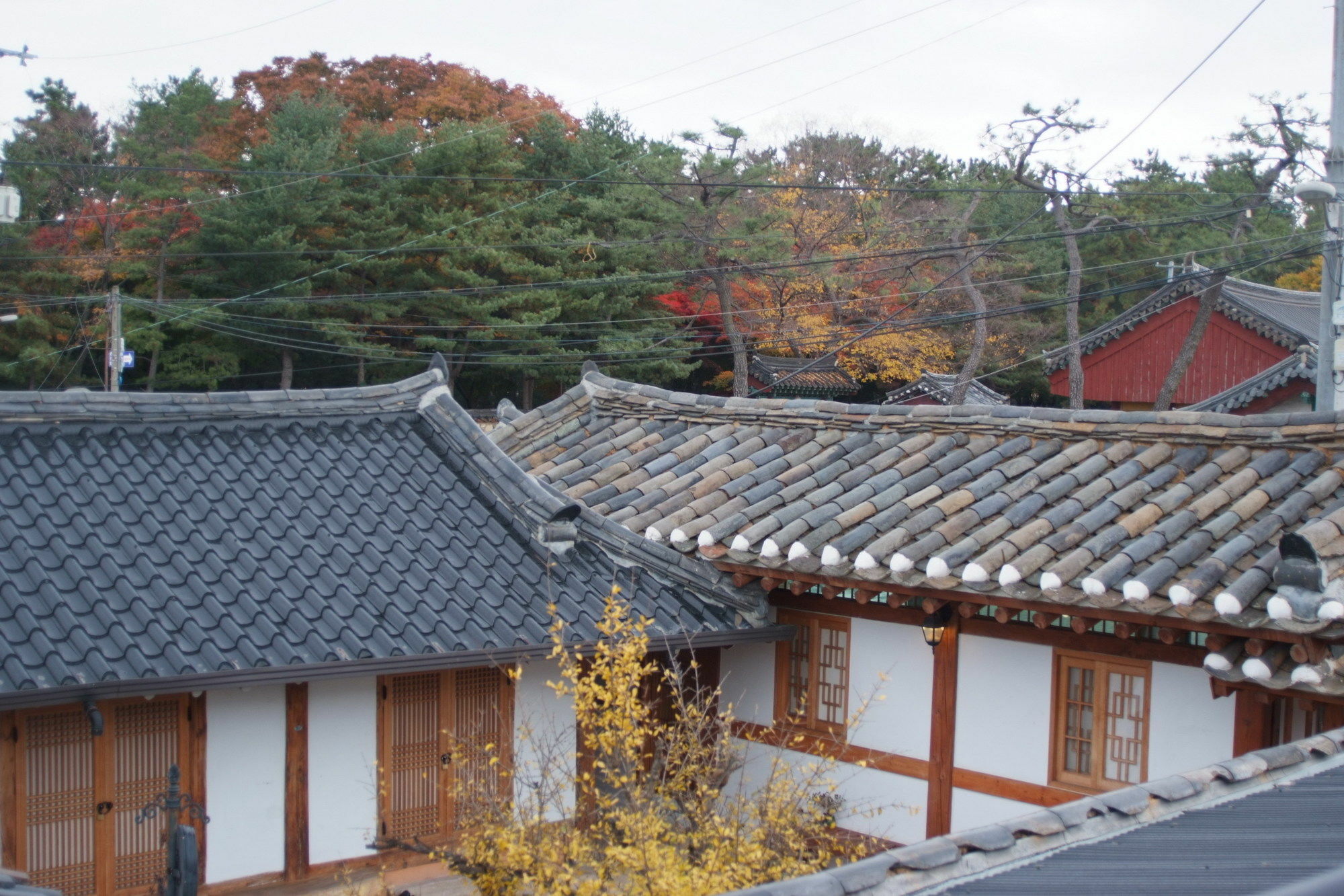 Floral Space Hanok Guesthouse Gyeongju Buitenkant foto